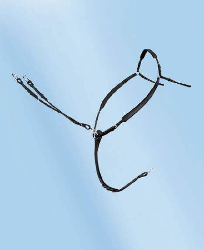 Passier PASSIERBLU Easy Vorderzeug