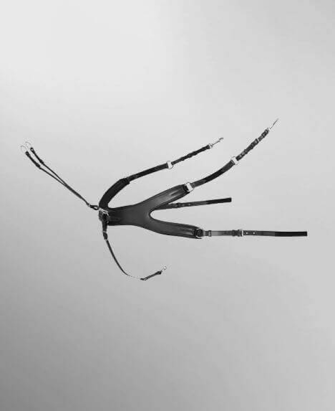 Passier Vorderzeug AURIGA