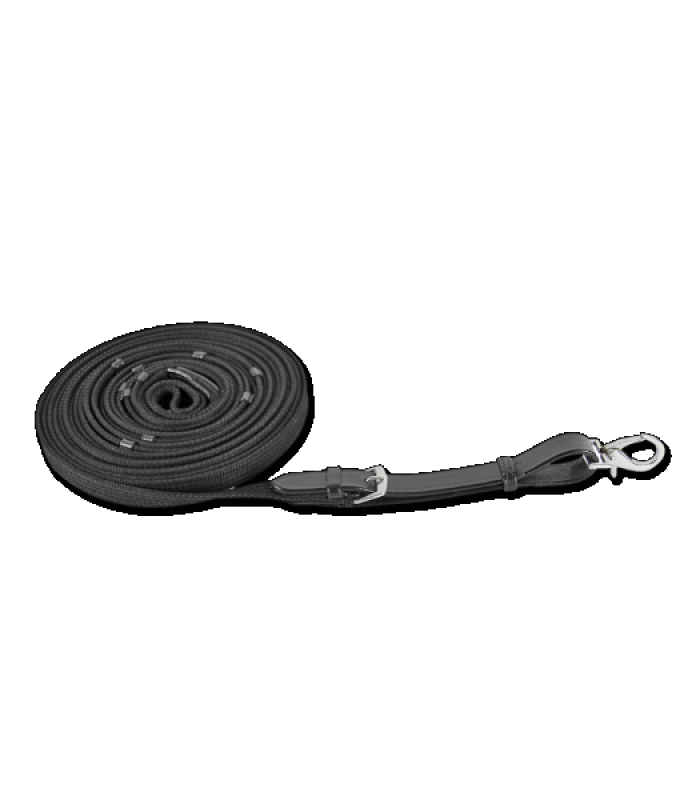 Longierleine ohne Wirbel