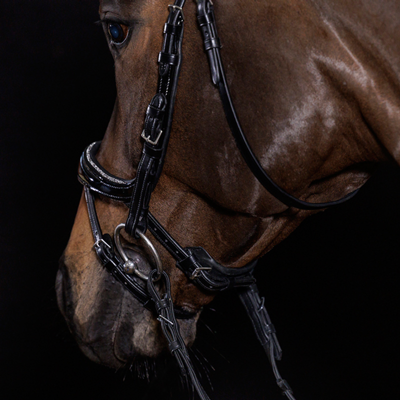 Schockemöhle Trense Equitus Beta Glam