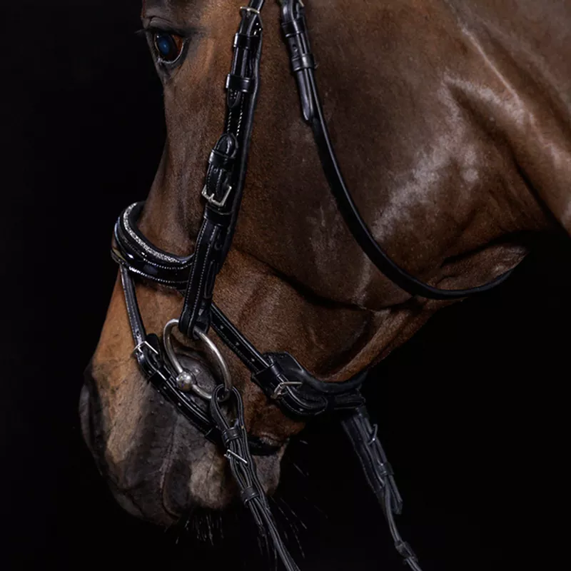 Schockemöhle Trense Equitus Beta Glam