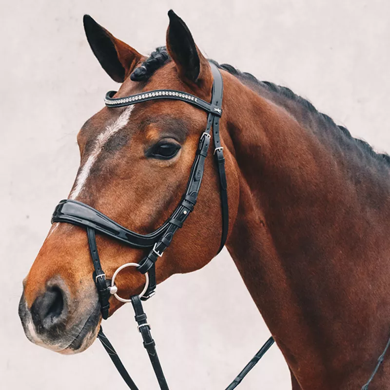 Schockemöhle Trense Equitus Beta