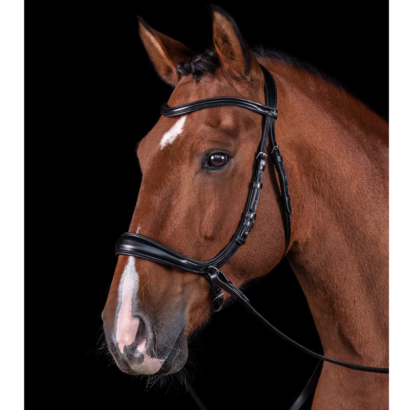 Schockemöhle Trense Equitus Theta - Gebisslos!