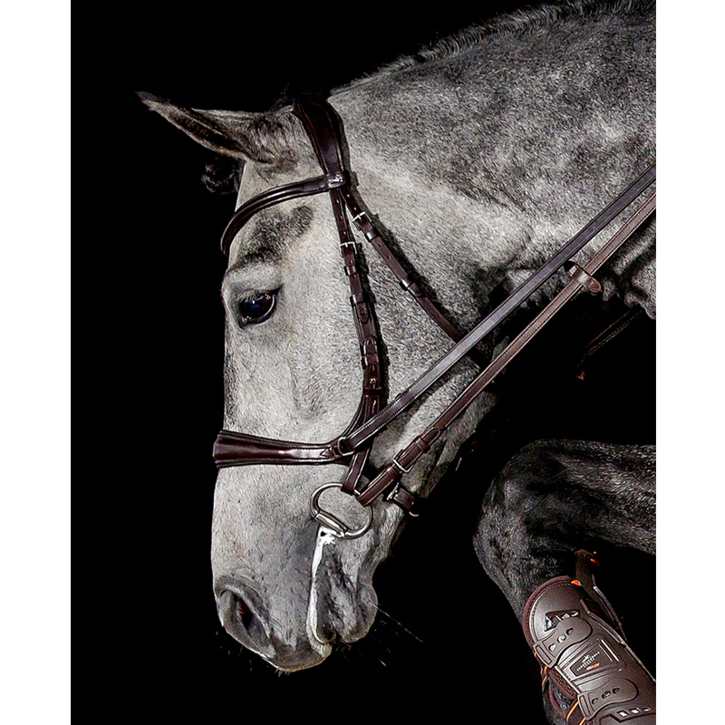 Schockemöhle Trense Equitus Theta - Gebisslos!