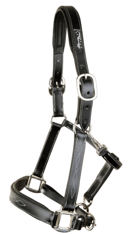 Horse Star Lederhalfter