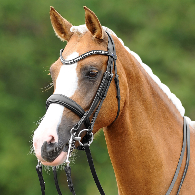 Passier PASSIERBLU Dream Kandare