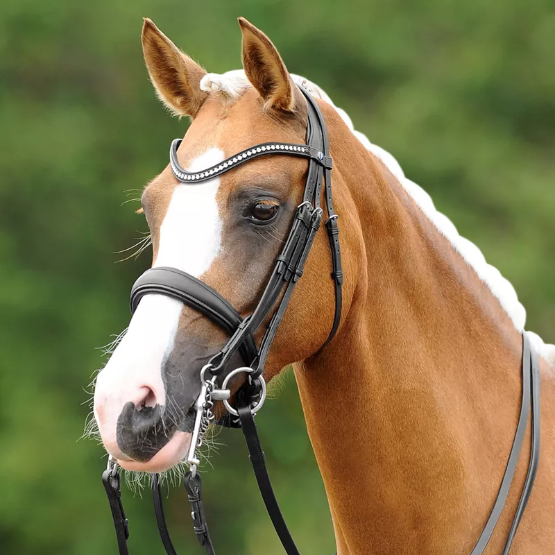 Passier PASSIERBLU Dream Kandare