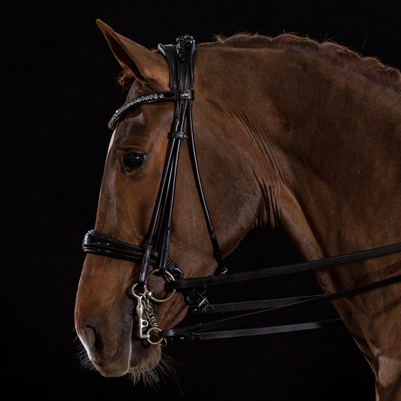 Schockemöhle Kandare Kensington