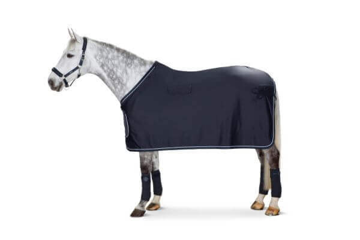 Eskadron Showdecke SOFTSHELL REFLEXX 20 navy