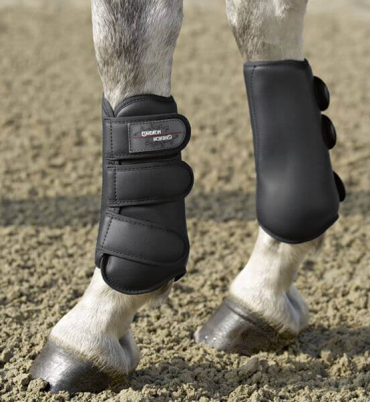 Eskadron Gamaschen ALLROUND F Standard
