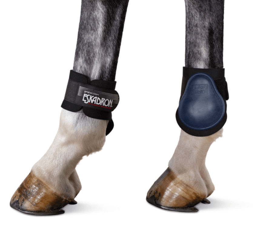 Eskadron Streichkappe PROTECTION H Basics