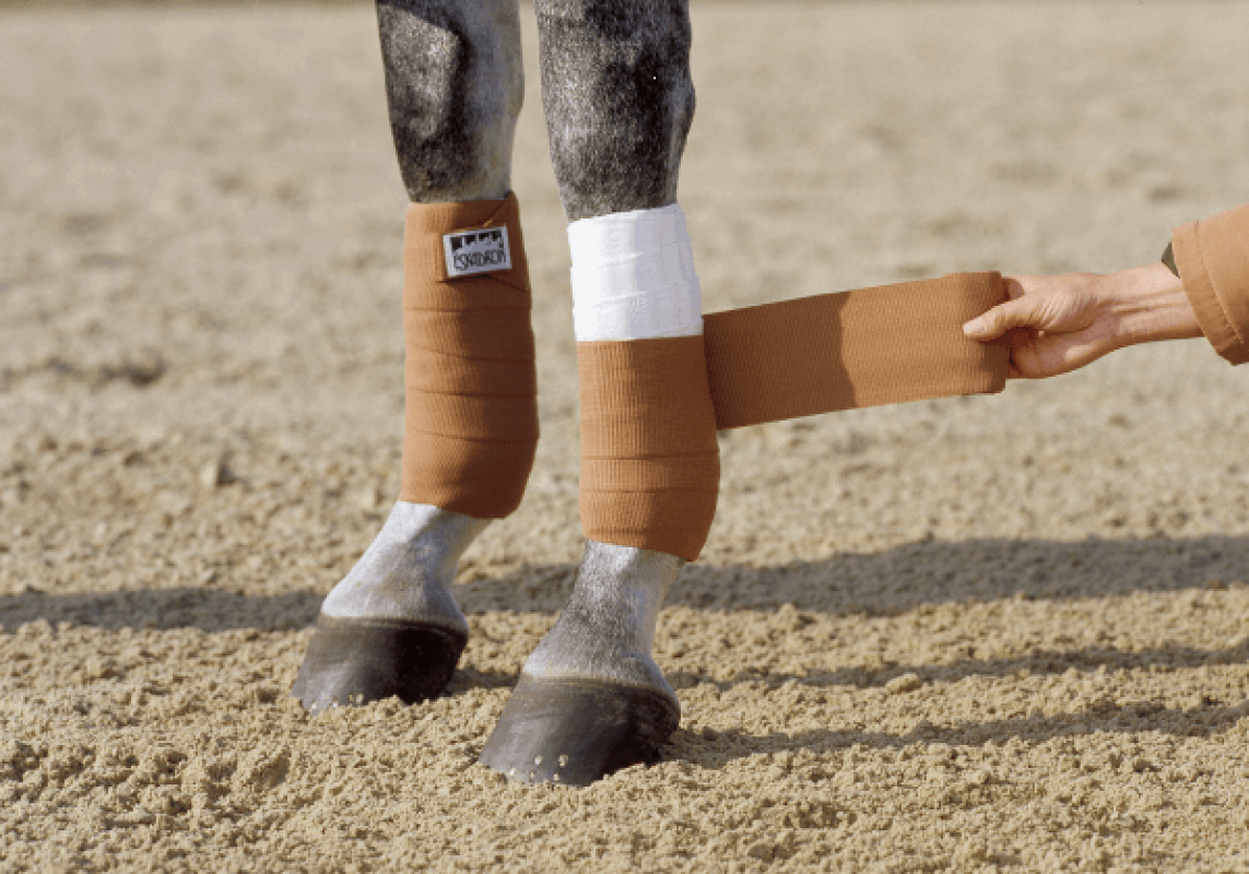 Eskadron Bandagen CLIMATEX